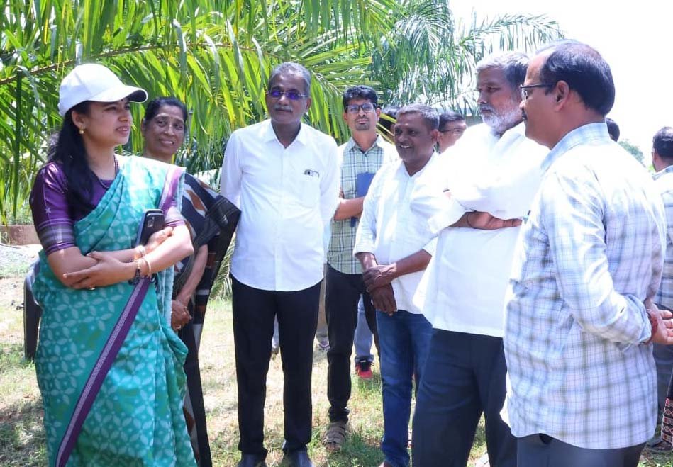 ఆయిల్పామ్తో రైతుకు రూ. లక్షల్లో ఆదాయం